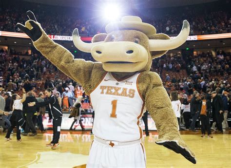 Bucky the Armadillo: Texas Basketball's Unexpected and Beloved Mascot
